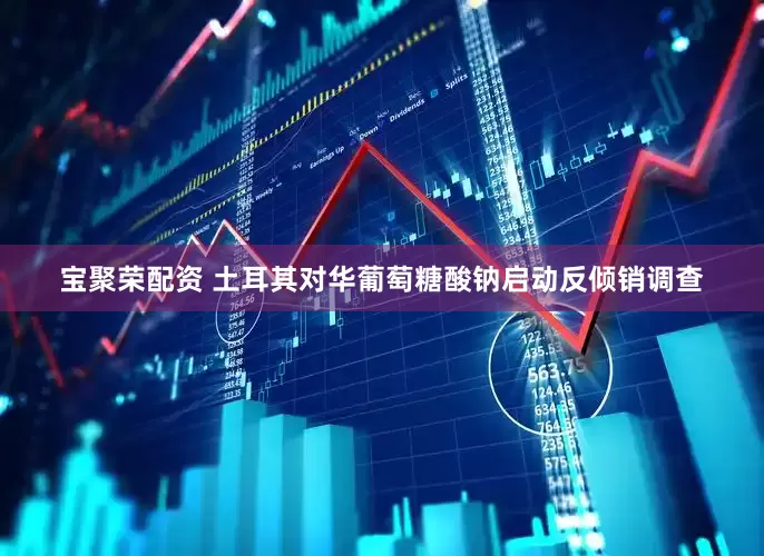 宝聚荣配资 土耳其对华葡萄糖酸钠启动反倾销调查