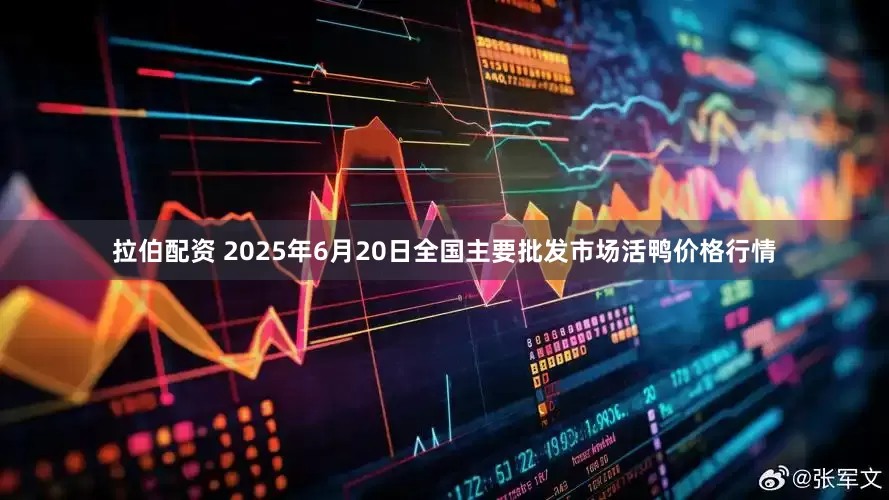 拉伯配资 2025年6月20日全国主要批发市场活鸭价格行情