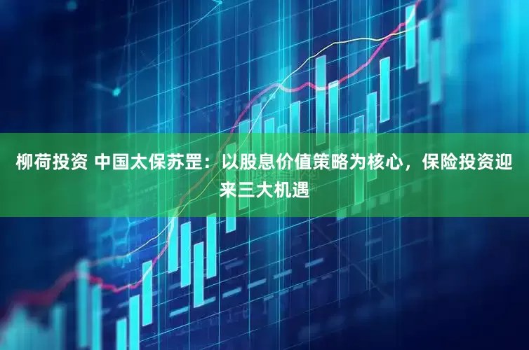柳荷投资 中国太保苏罡：以股息价值策略为核心，保险投资迎来三大机遇