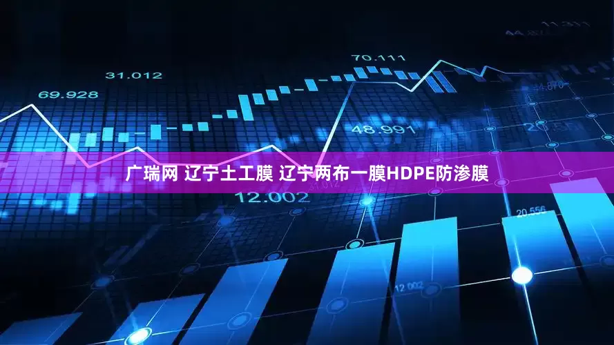 广瑞网 辽宁土工膜 辽宁两布一膜HDPE防渗膜